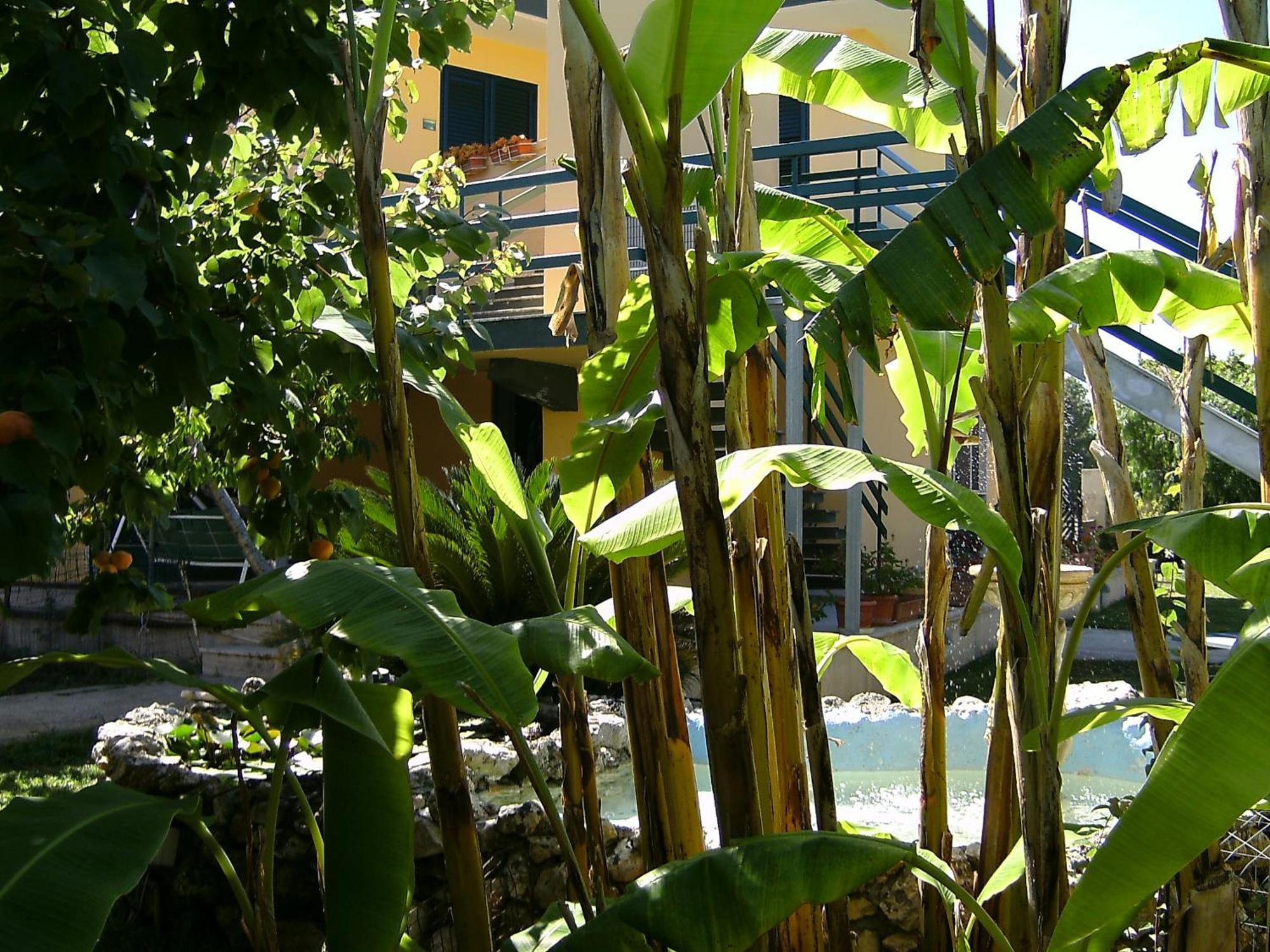 Bed and Breakfast Vento Dell'Est San Cataldo  Exterior foto