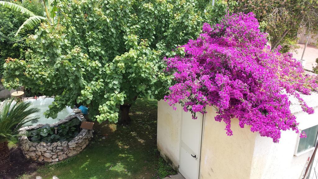 Bed and Breakfast Vento Dell'Est San Cataldo  Exterior foto